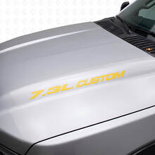 Nuevo 7.3L POWERSTROKE Hood pegatina emblema estilo calcomanía Musclecar F250 F350 Turbo Diesel
_6