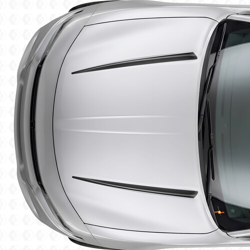 Vinilo Adhesivo de Raya Doble en Capó para Dodge Charger 2015-2026