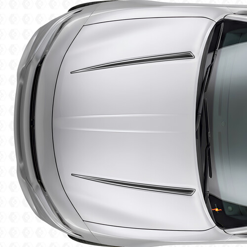 Calcomanía adhesiva de vinilo con franjas de doble contorno Tnin para capó Dodge Charger 2015-2026