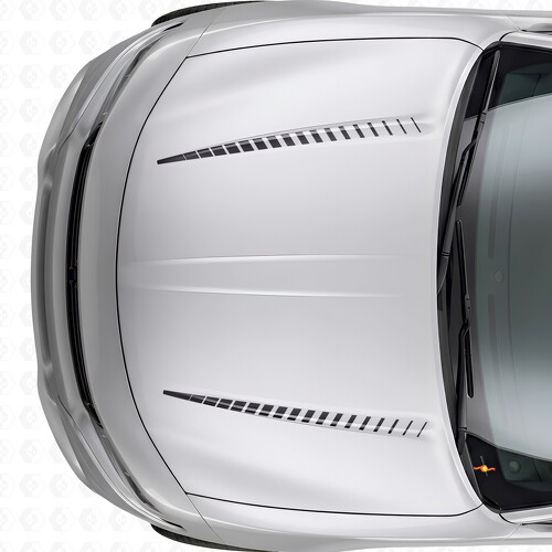 Calcomanía de vinilo para capó con franjas estroboscópicas Dual Tnin para Dodge Charger 2015-2026