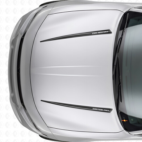 Calcomanía adhesiva de vinilo con franjas dobles personalizadas para capó Dodge Charger 2015-2026_1