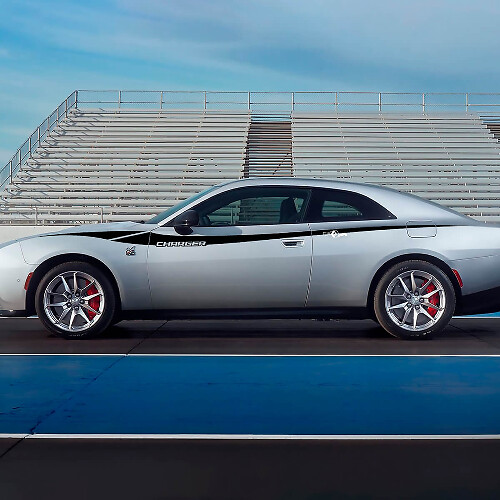 Etiqueta engomada de la etiqueta del macbook de la panda de Apple