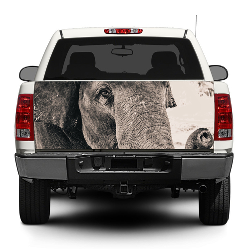 Elefante Animal salvaje África Calcomanía Calcomanía Envoltura Camioneta SUV Coche