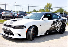 Custom Cat Head Distressed Stripe Pattern Kit completo Adhesivo de vinilo para Dodge Charger_3