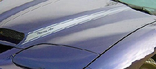 Vinilos Adhesivos de Franja para la Toma de Aire del Capó Blackbird para Pontiac Firebird