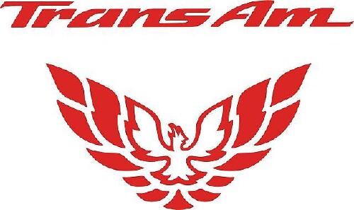 Adhesivo de vinilo relleno para luz trasera Trans Am para Pontiac Firebird 1998-2002