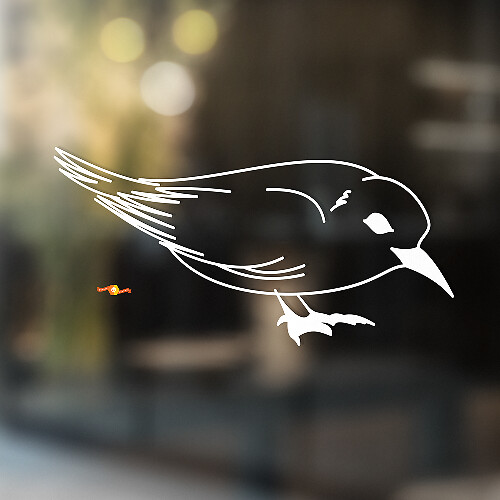 Adhesivo Universal de Vinilo Common Starling_1