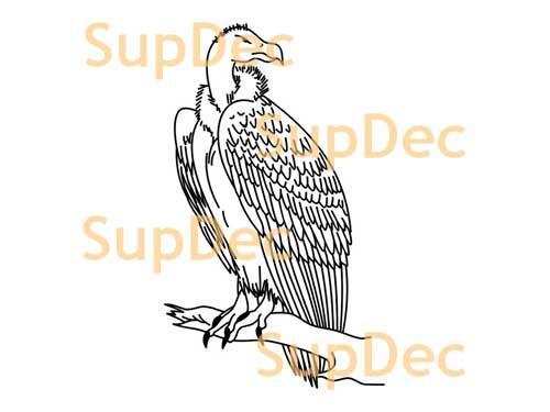 Eagle Vinilo Arte Pared Ventana Baño Pegatina Adhesiva removible #2
