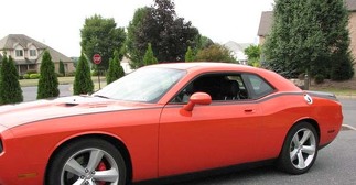 2008 y posteriores Dodge Challenger Pinstripe Bodyline Side Stripe Kit