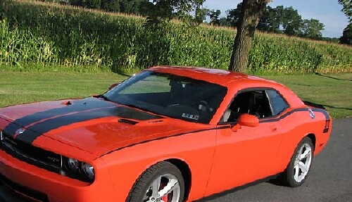 2008 y posteriores Dodge Challenger Hockey Bodyline Side Stripe Kit