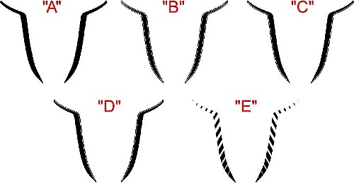 2015 y posteriores Dodge Charger SRT / HELLCAT Kit de rayas decorativas para capó Spear