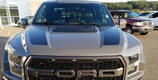 2015 y posteriores Ford F150 Hood Spear Stripes