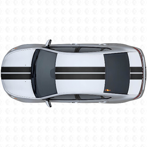 Kit de Vinilo con Rayas de Doble Contorno Delanteras Superiores y Traseras para Dodge Dart 2013+