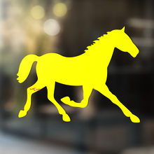 Caballo vinilo arte pared ventana baño pegatina calcomanía #3
_3