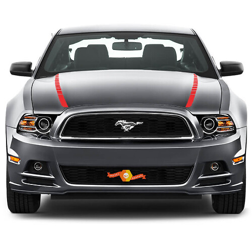 Ford Mustang 2013- 2020 Cofre Spear Franjas decorativas laterales