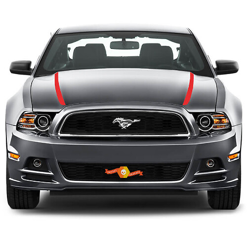 FRANJAS LATERALES FORD MUSTANG 2013- 2020 CAPOT SPEAR