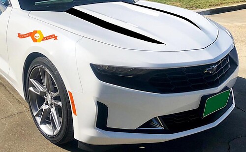 Chevrolet Camaro 2019 capó Pegatina Paquete de calcomanías rayas de araña, gráfico de vinilo
