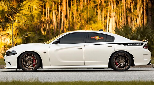 2015 - 2019 Dodge Charger Stripes RECHARGE QP Cuarto Paneles Pegatinas Calcomanías Vinilo Gráficos Kit
