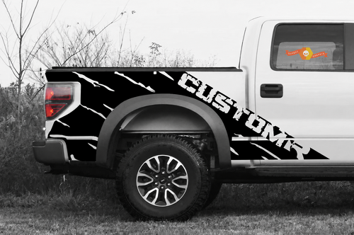 Pegatina adhesiva de vinilo lateral personalizada para cama, par lateral Predator para Ford F-150 2010-2014
