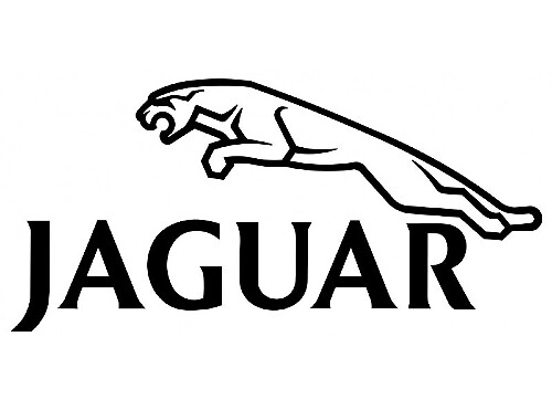 JAGUAR DECAL 2031 Vinilo Autoadhesivo Adhesivo Adhesivo