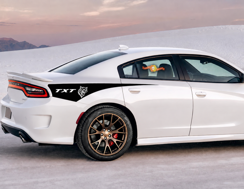 TXT Custom Cat Head Tapered Stripe Pair Guardabarros trasero Adhesivo de vinilo para Dodge Charger SRT, Hellcat 2011-2020