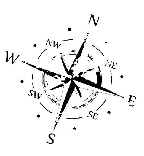 Vinilo adhesivo gráfico de máscara negra con rayones en el capó de la brújula