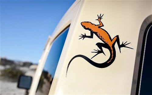 Juego de pegatinas de vinilo Mojave Gecko para Jeep Wrangler