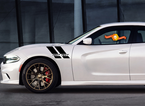 TEXT TEXT Double Hash Stripe Kit — Adhesivo de vinilo (guardabarros) para Dodge Charger 2011-2014