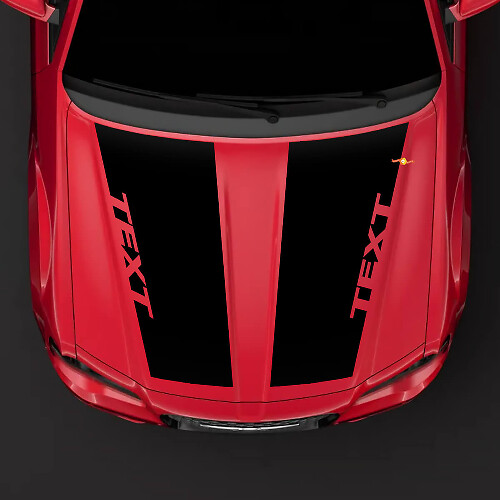 Vinilo Adhesivo de Rayas Dobles Personalizadas para Capó para Chrysler 300C 2014