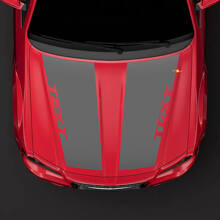 Vinilo Adhesivo de Rayas Dobles Personalizadas para Capó para Chrysler 300C 2014_3